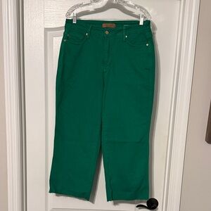 Judy Blue Vibrant Green Cropped Jeans